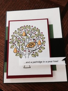 Partridge in a pear tree