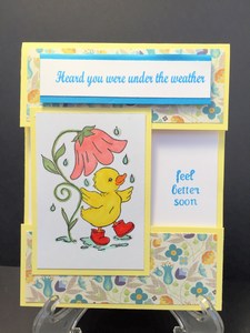 Duck in the rain get well