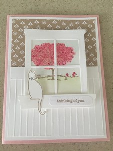 Kitty looking out window